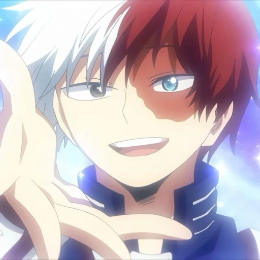 ⋆.˚🦋༘⋆≽ Shoto todoroki.