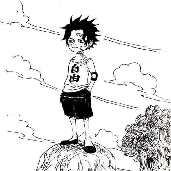 portgas d. ace small