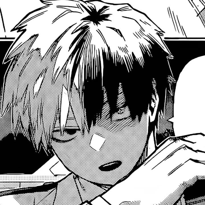 Shot Todoroki