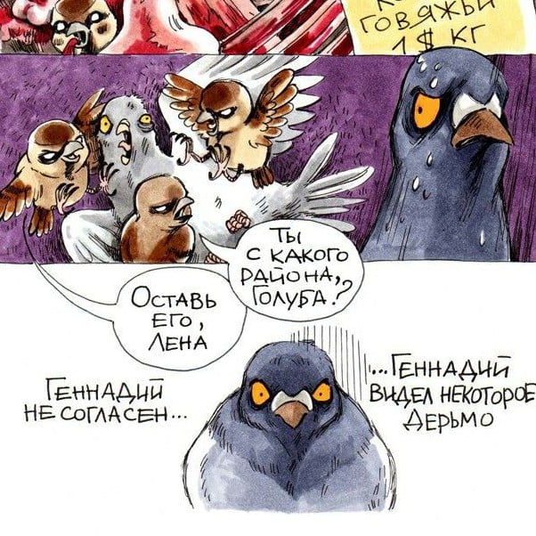 Birds