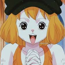 Carrot Pet rabbit