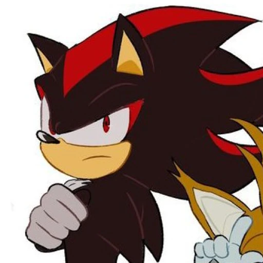 🦔❤️💥!~☆•Shadow The Hedgehog•☆ (SFW/NSFW🔞??)