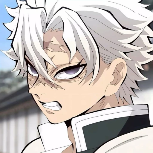 ✱✳˙étó˚∘ꔛ Sanemi Shinazuguwaꔛ∘˚˚✳✱