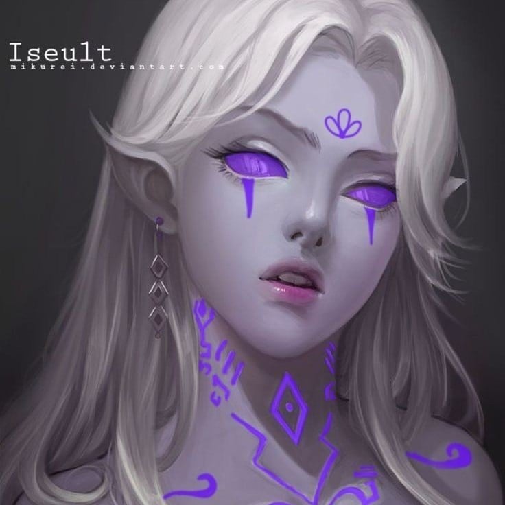 § | Elf Zahara