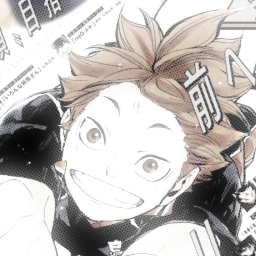 Hinata Shoyo | 15