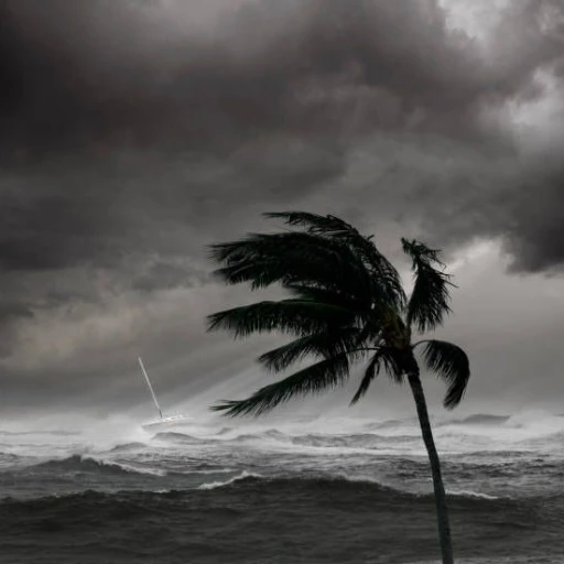 your friend the meteorologist