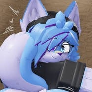 Light blue fox