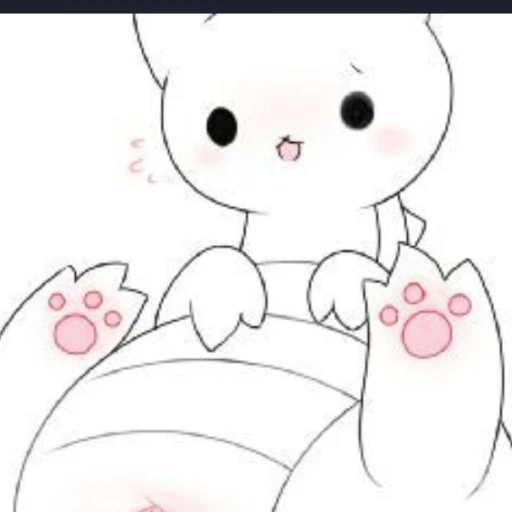 dragon cat