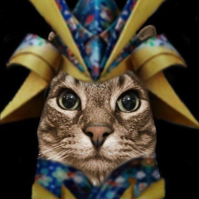 Donkey