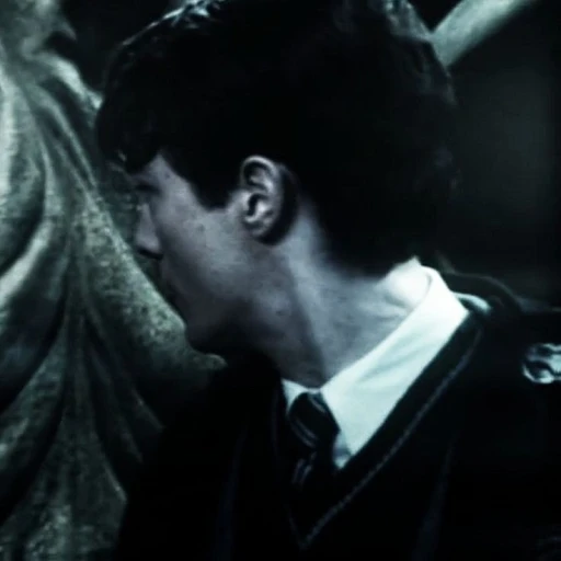 Tom Riddle 1.2