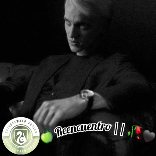 🍏 Draco Malfoy⁴³ 🖤