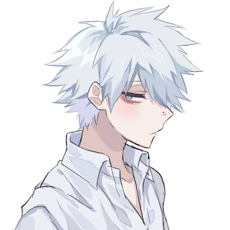 =Touya Todoroki=