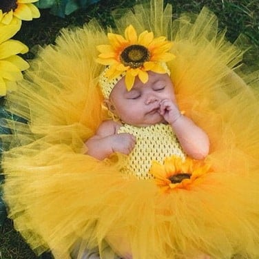 Musume Girasol