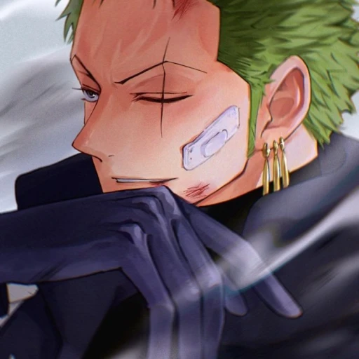 🍋🟩Roronoa Zoro🍋🟩