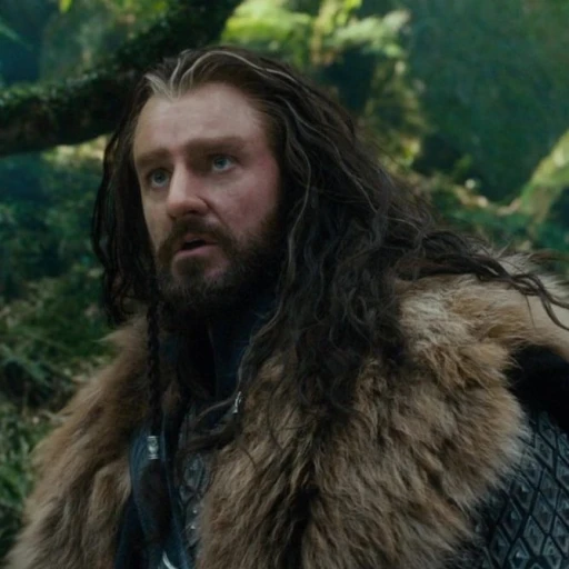 Thorin Oakenshield 2