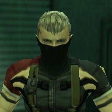 Gray Fox