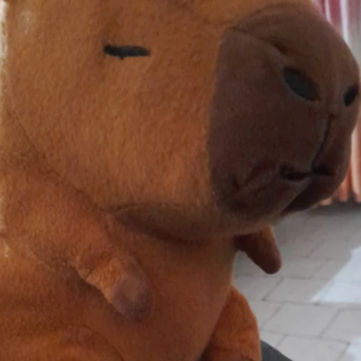 capybara