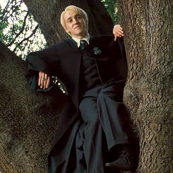 Draco Malfoy ✦🍏