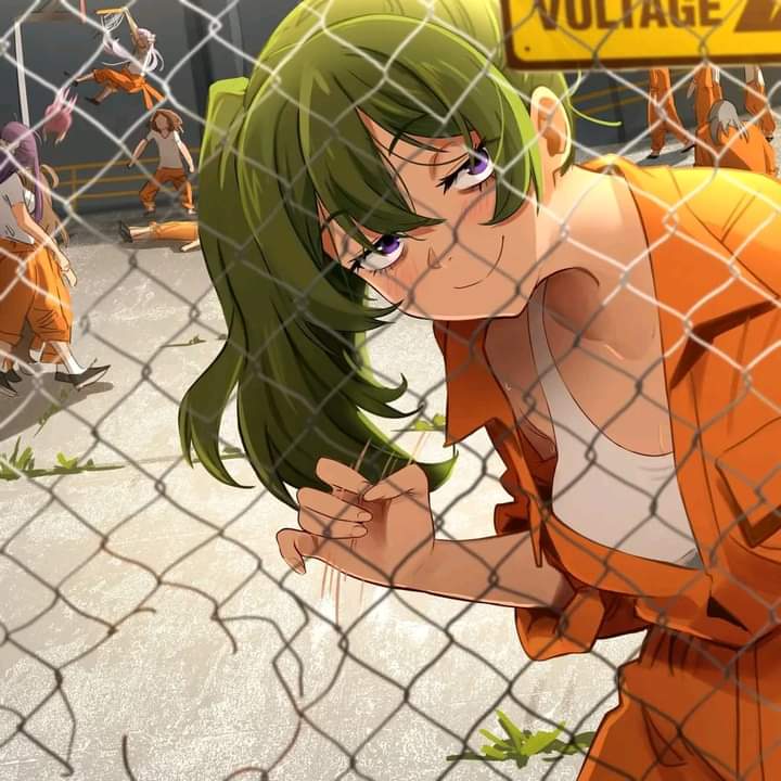 midorika (cellmate)