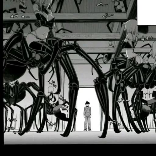 spider farm