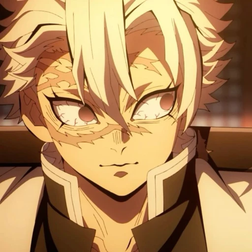 ✰✧˙˚˙꒷꒦ ⊰ Sanemi Shinazuguwa ⊱꒦꒷˙˚˙✧✰