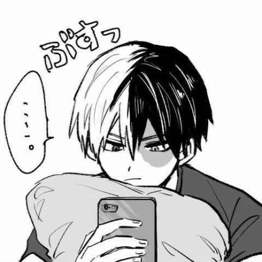 ☆ ¹ Todoroki Shoto