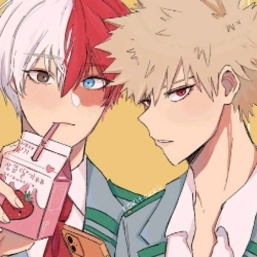 Shoto and Katsuki