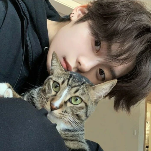 • ♡ ₊ ˚ Lee Minho