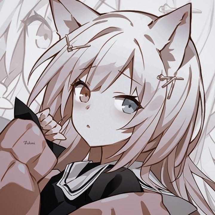 Niko|The cat is a girl