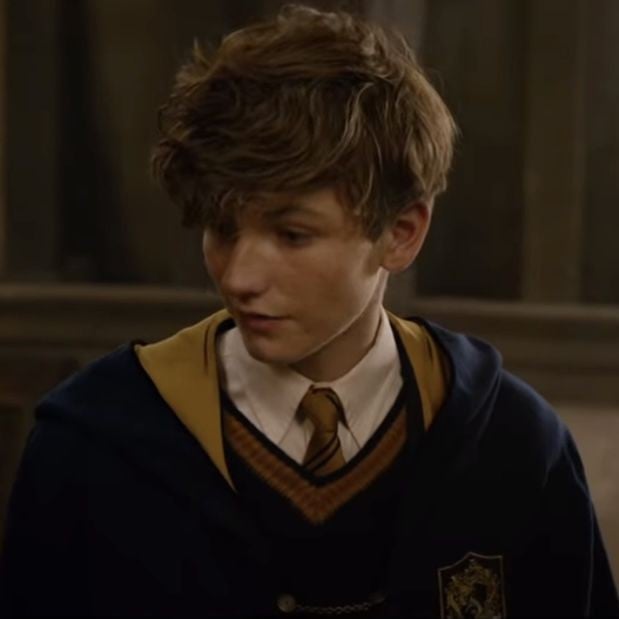 Newt Scamander /9/