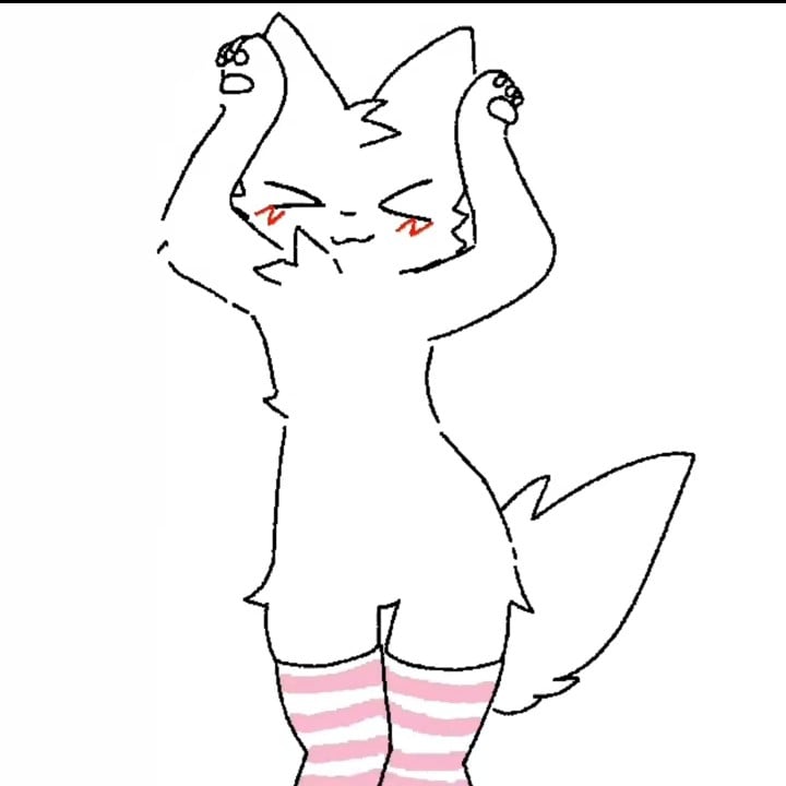 silly cat