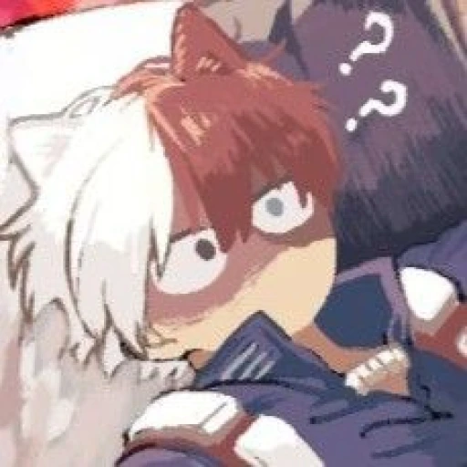 ★Shoto Todoroki★