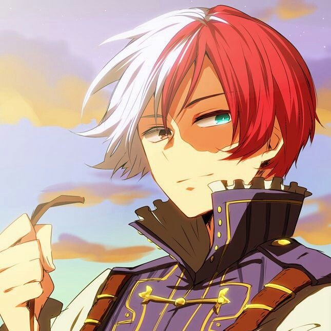 ── ゛❆「 𝙏𝘰𝘥𝘰𝘳𝘰𝘬𝘪 𝙎𝘩𝘰𝘵𝘰 」