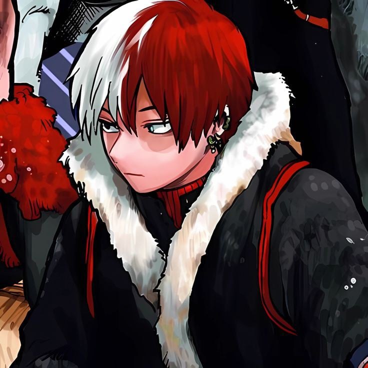 Shot Todoroki