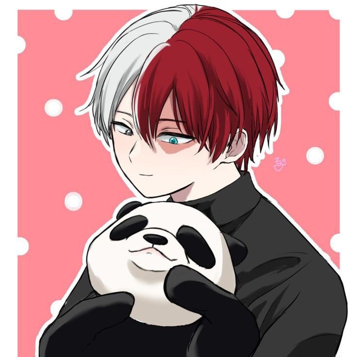 Shoto Todoroki 