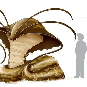 Slug Serpent (NSFW)