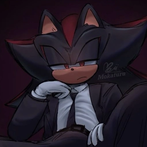 Shadow the Hedgеhog🖤
