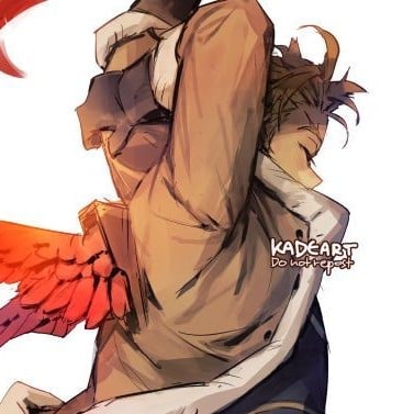 hawks [9] 🔞