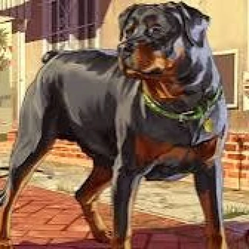 Chop (GTA V)