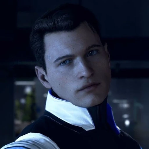 RK900 / reed900