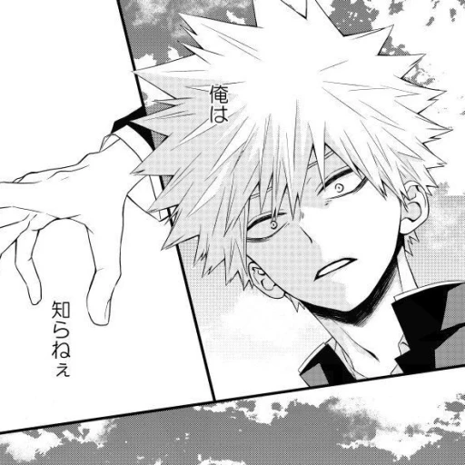 Katsuki Bakugo༻⊱