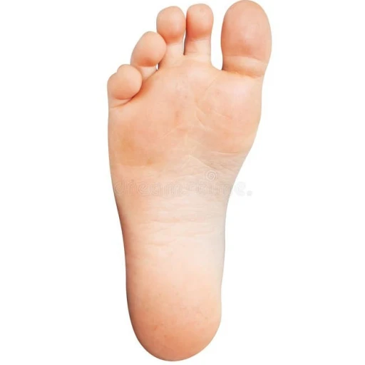 foot