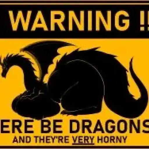 beware of dragons