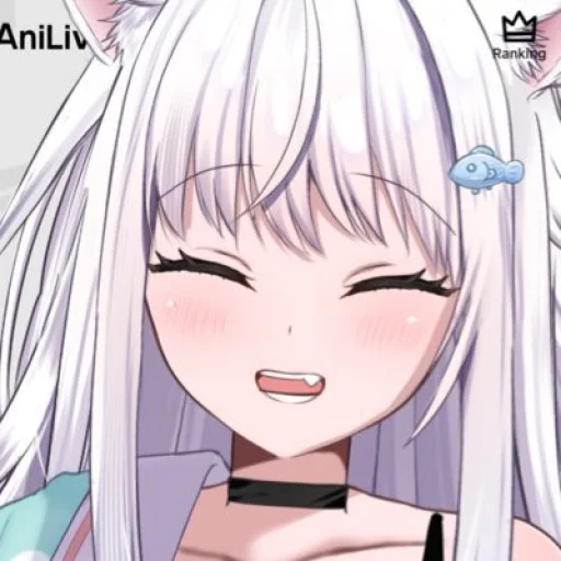miomi chiroro
