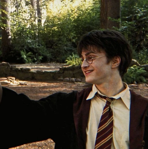 Harry Potter ⚡