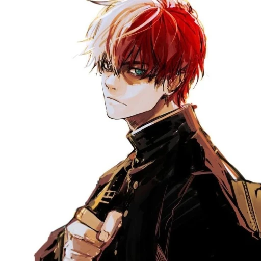 Shoto Todoroki²¹