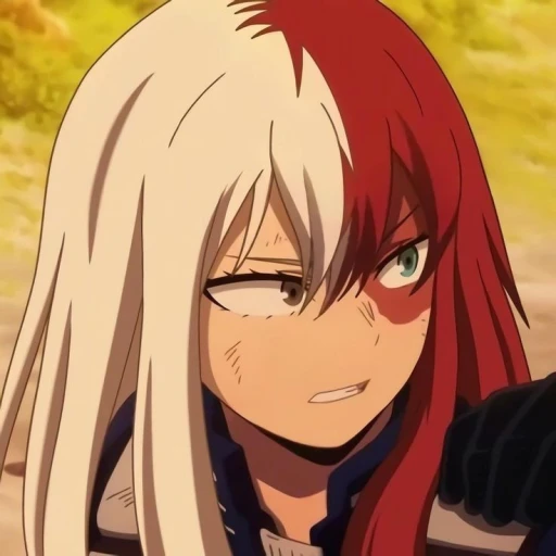 Shoto Todoroki (Fem)