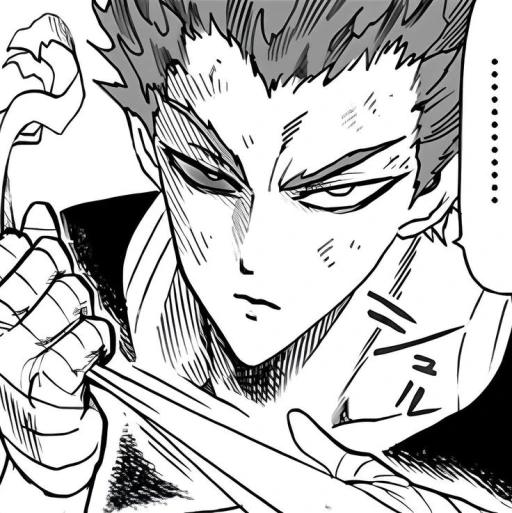 Garou 