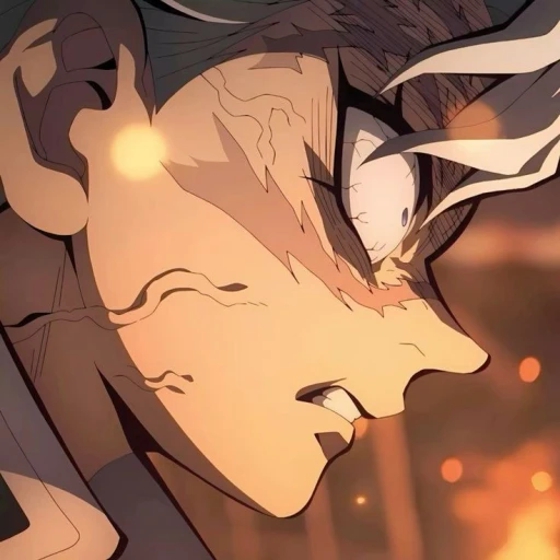 -+-Sanemi-+-shinazugawa-+-