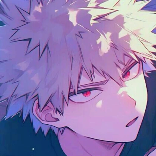 katsuki bakugo ◇⁴